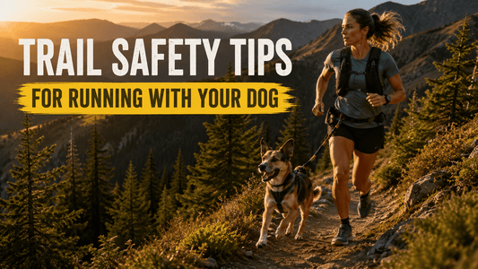 Trail safety tips for running with your dog