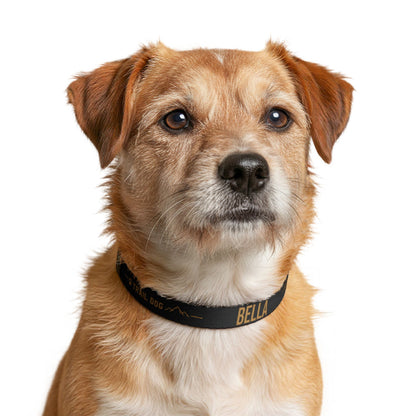 Trail Dog Personalized Dog Collar