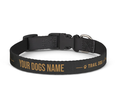 Trail Dog Personalized Dog Collar