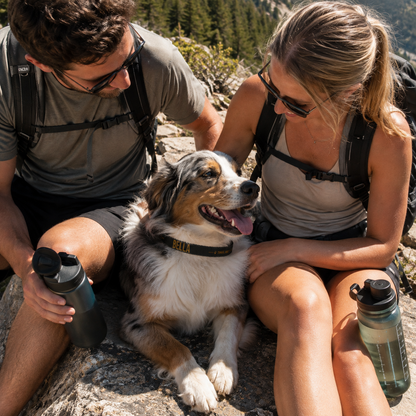 Trail Dog Personalized Dog Collar