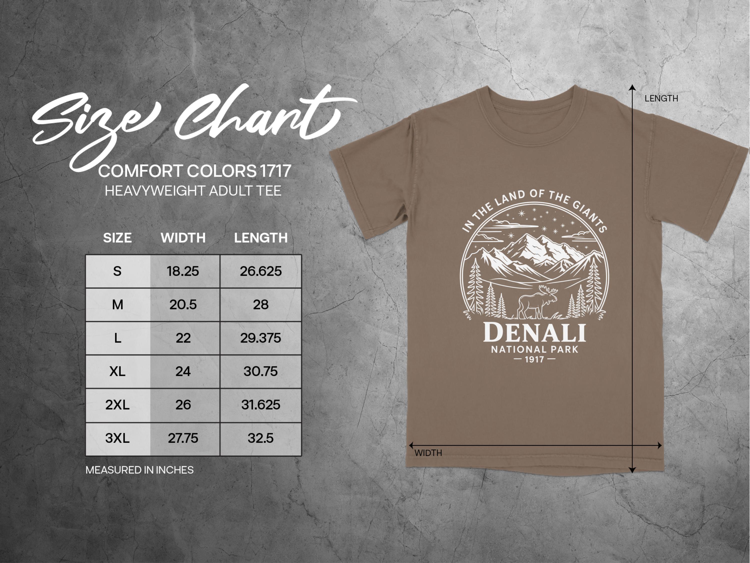 Denali National Park Adult Tee Size Chart product type