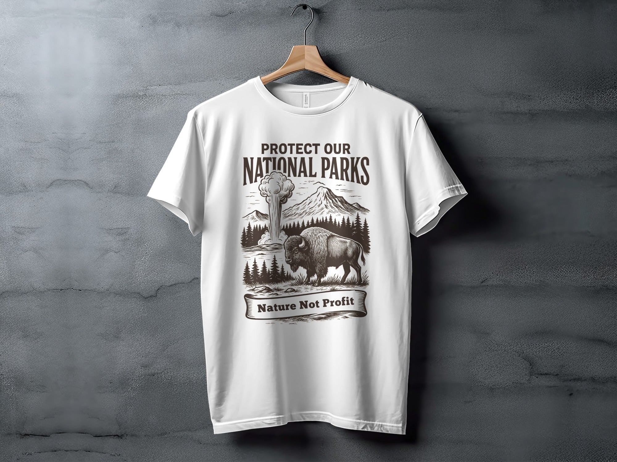 Protect Our National Parks Graphic T-shirt product