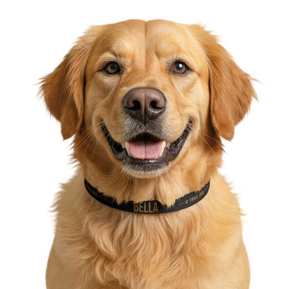 Trail Dog Personalized Dog Collar