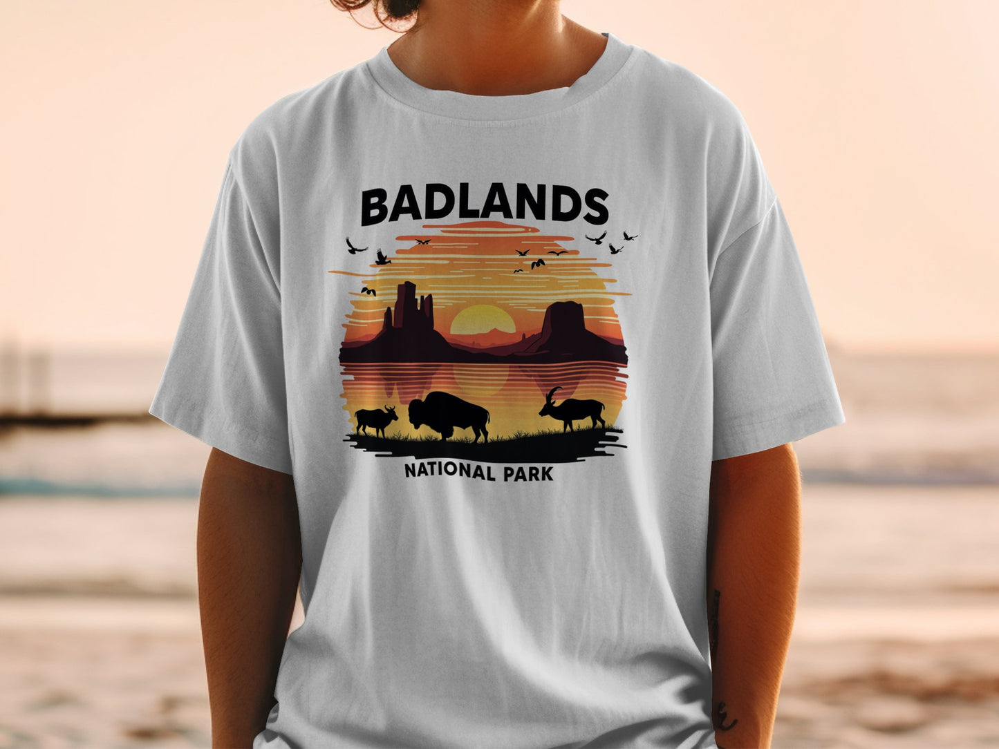 Badlands National Park Light Blue T Shirt