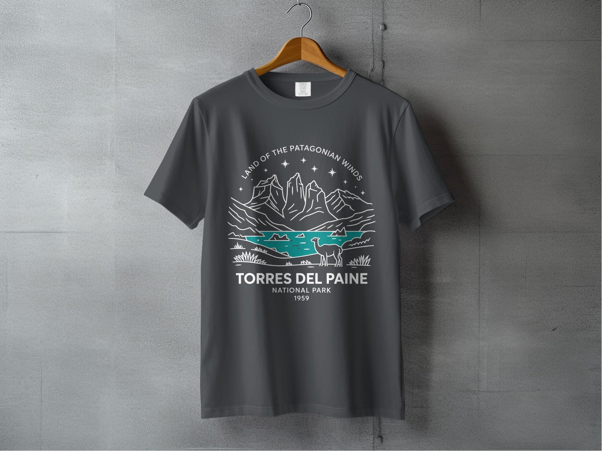 Torres Del Paine National Park Graphic T-Shirt product type