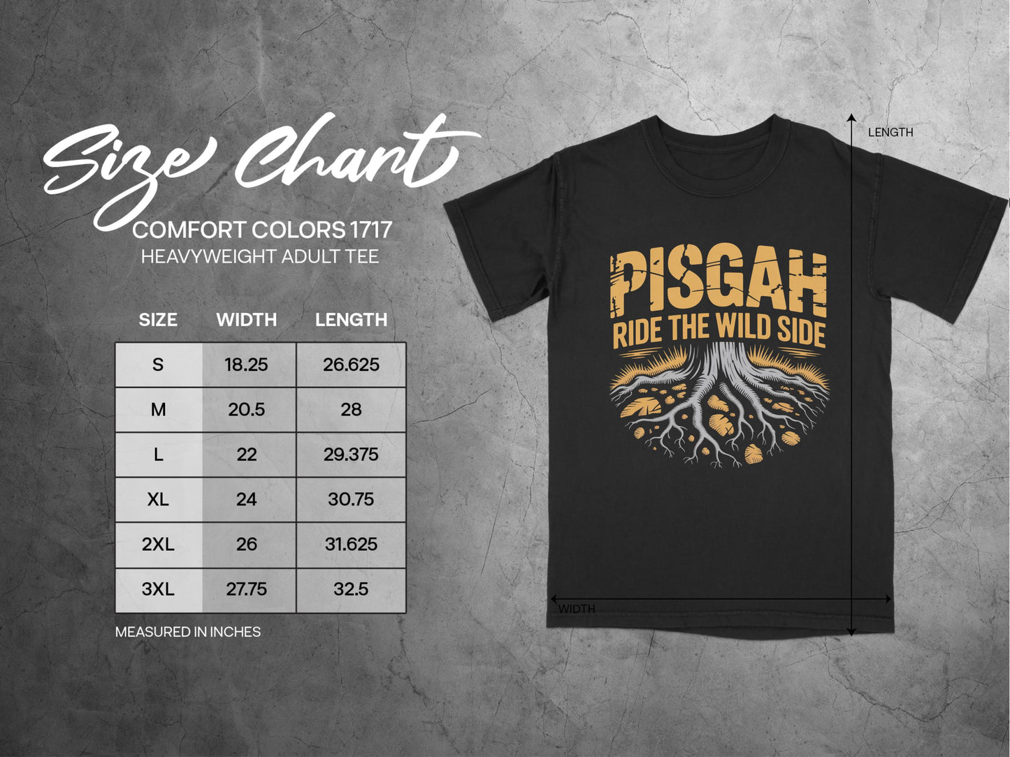 Pisgah Ride the Wild Side Graphic Tee product