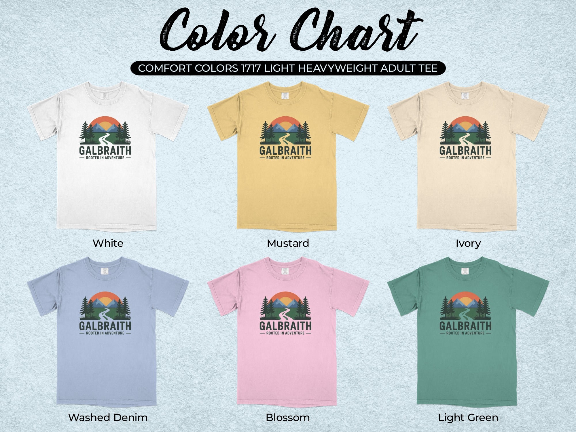 Comfort Colors 1717 Light Heavyweight Adult Tee Collection