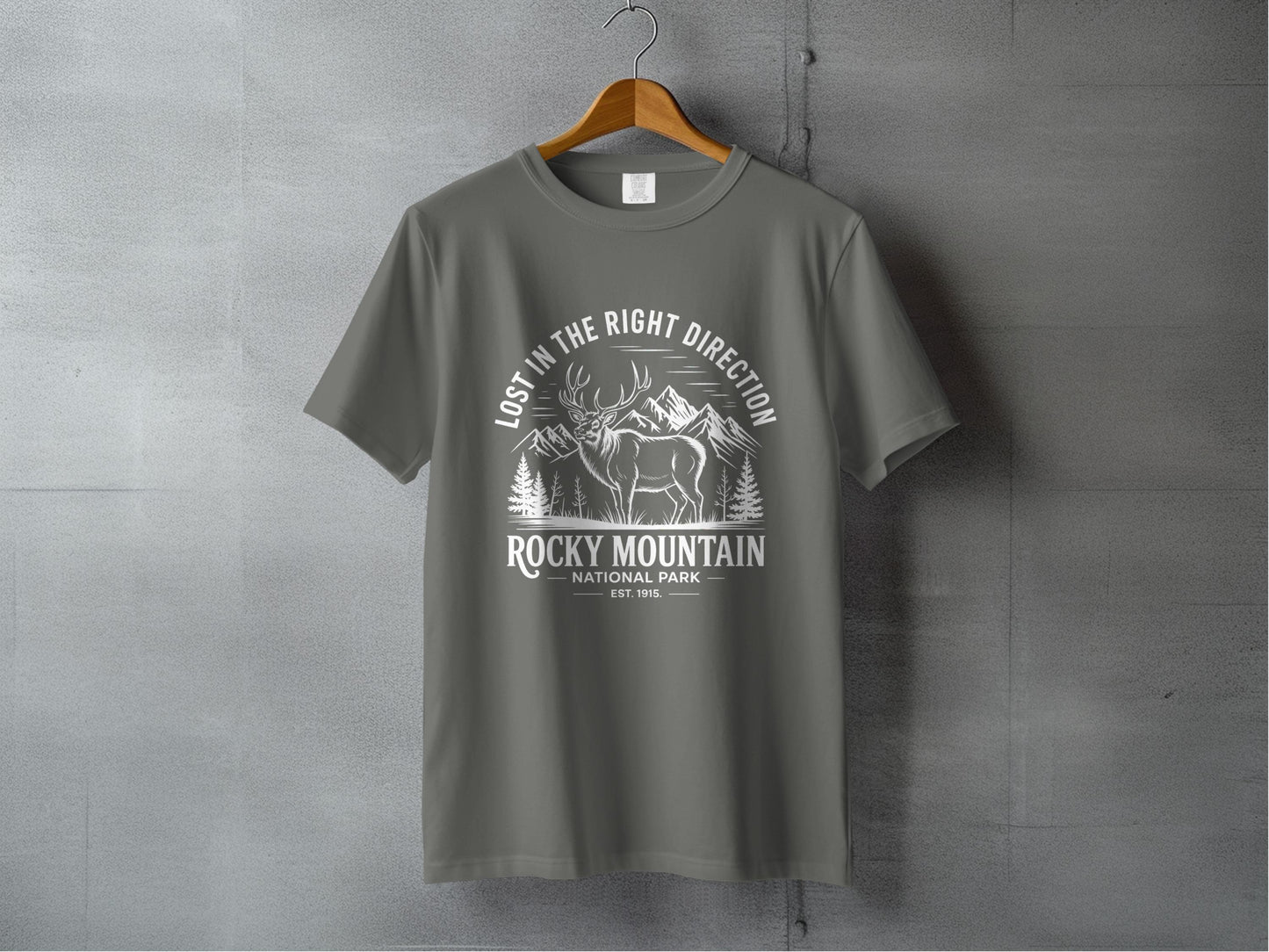Lost in the Right Direction Rocky Mountain T-Shirt product
