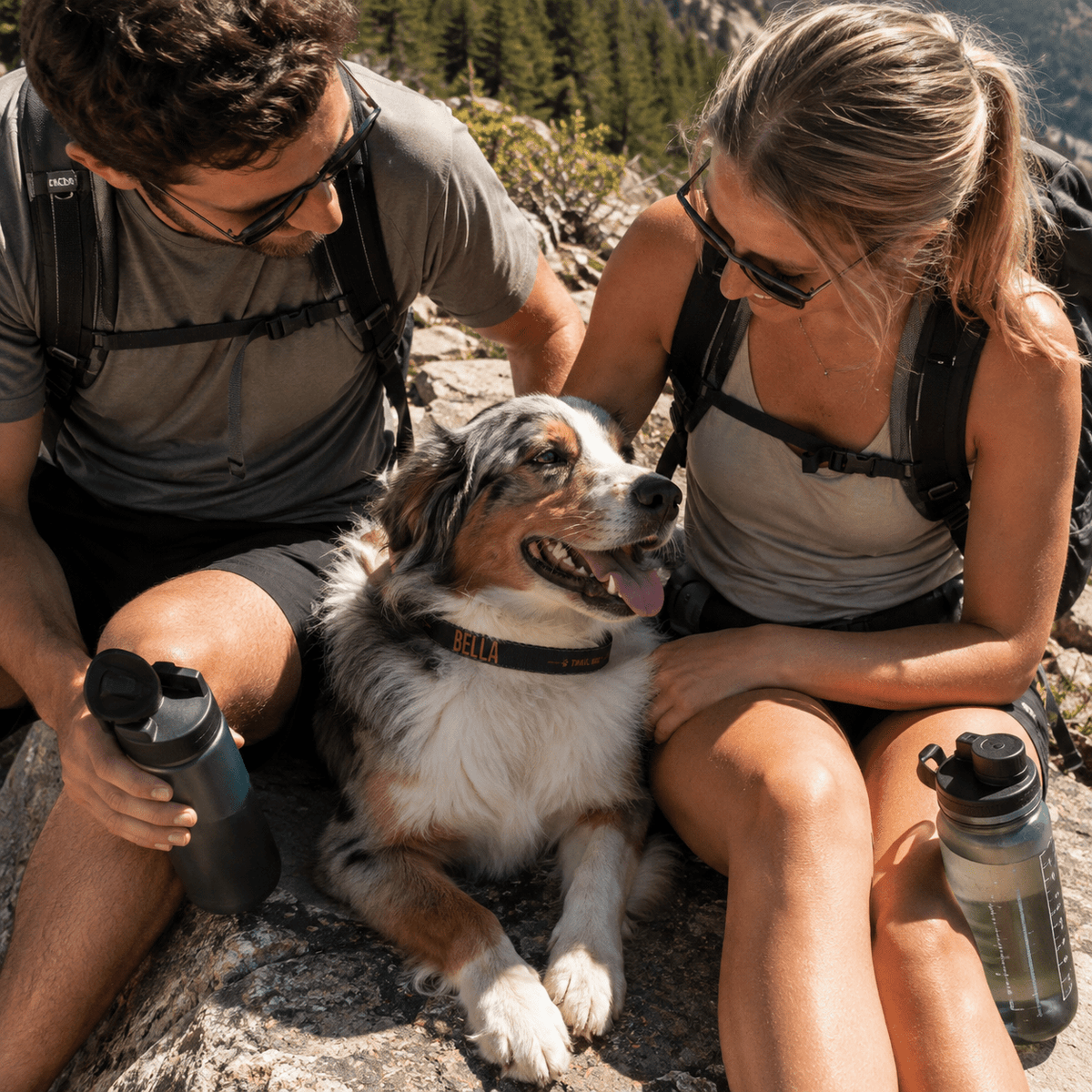 Trail Dog Personalized Dog Collar -S - Sloth & Duck